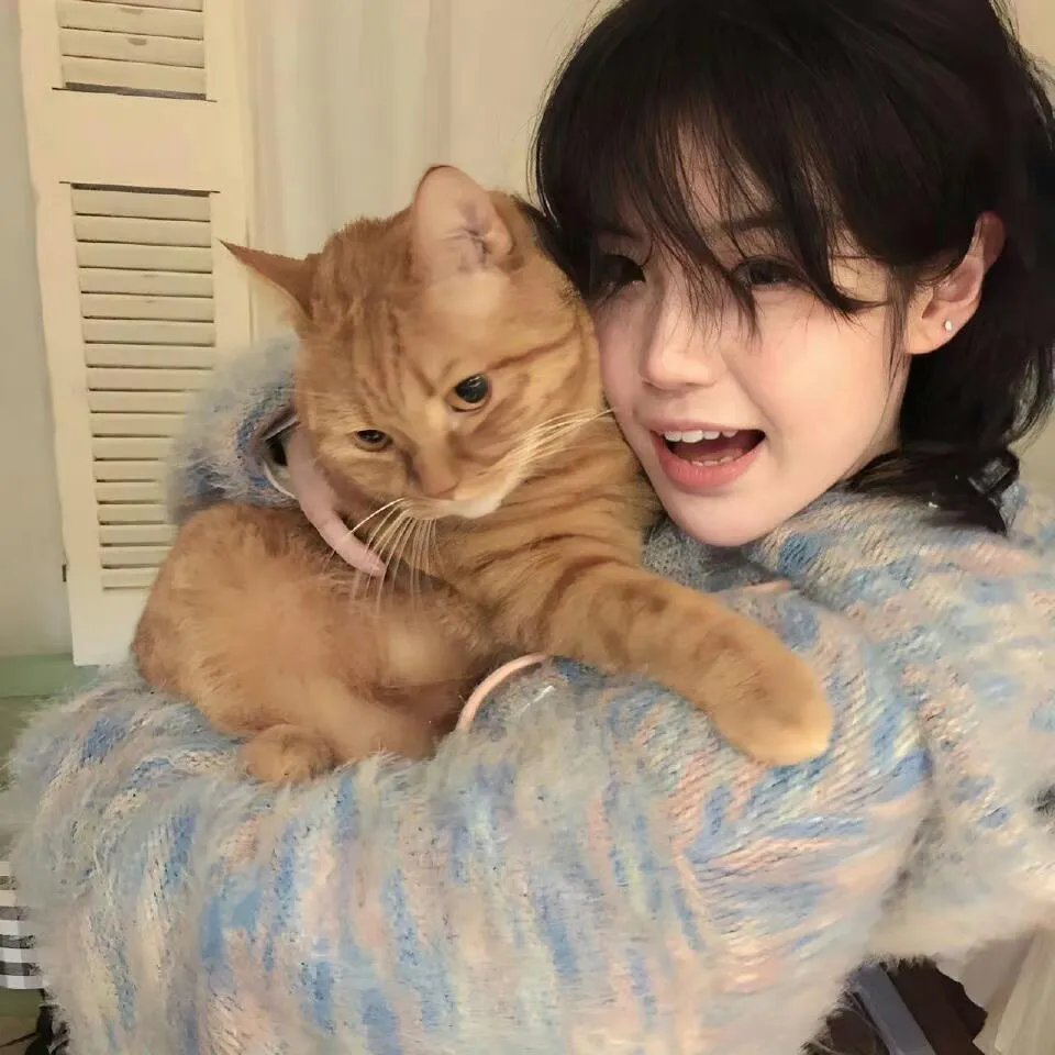 我家王爷是异性王